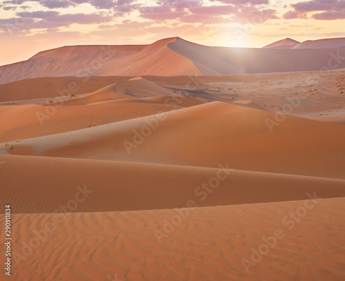 Sunrise view sand dunes in the Namib Desert at Sossusvlei  Namibia.