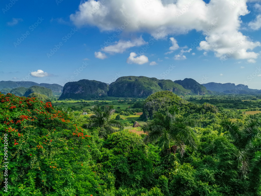 Fototapeta premium Landscape in Viñales, Pinar del Rio, Cuba
