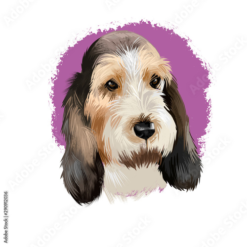 Grand Basset Griffon Vendeen or GBGV short legged hound type French dog breed digital art illustration isolated on white background. Cute pet hand drawn portrait. Graphic clip art design. photo