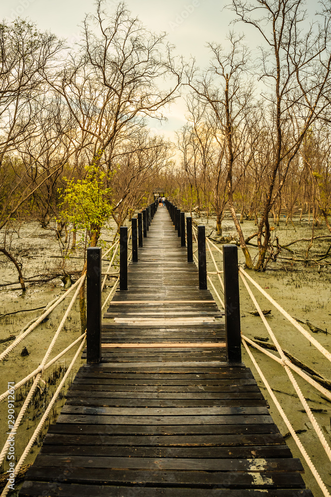 wooden bridge in the forest wooden bridge in the forest