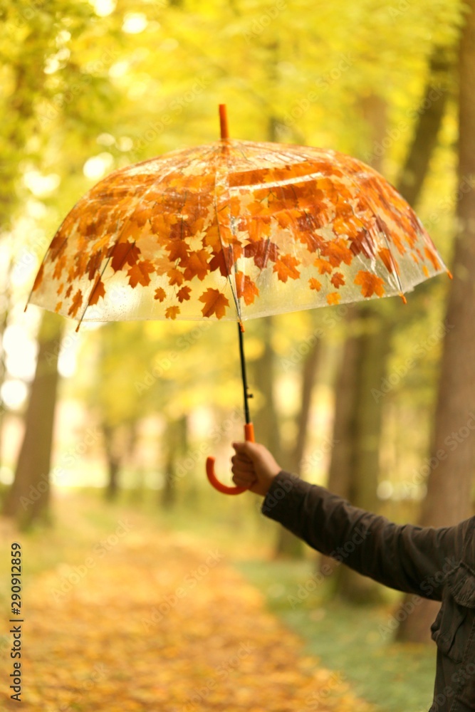 Autumn concept. Umbrella in hand  on the autumn alley background in warm colors .Fall season. Autumn mood
