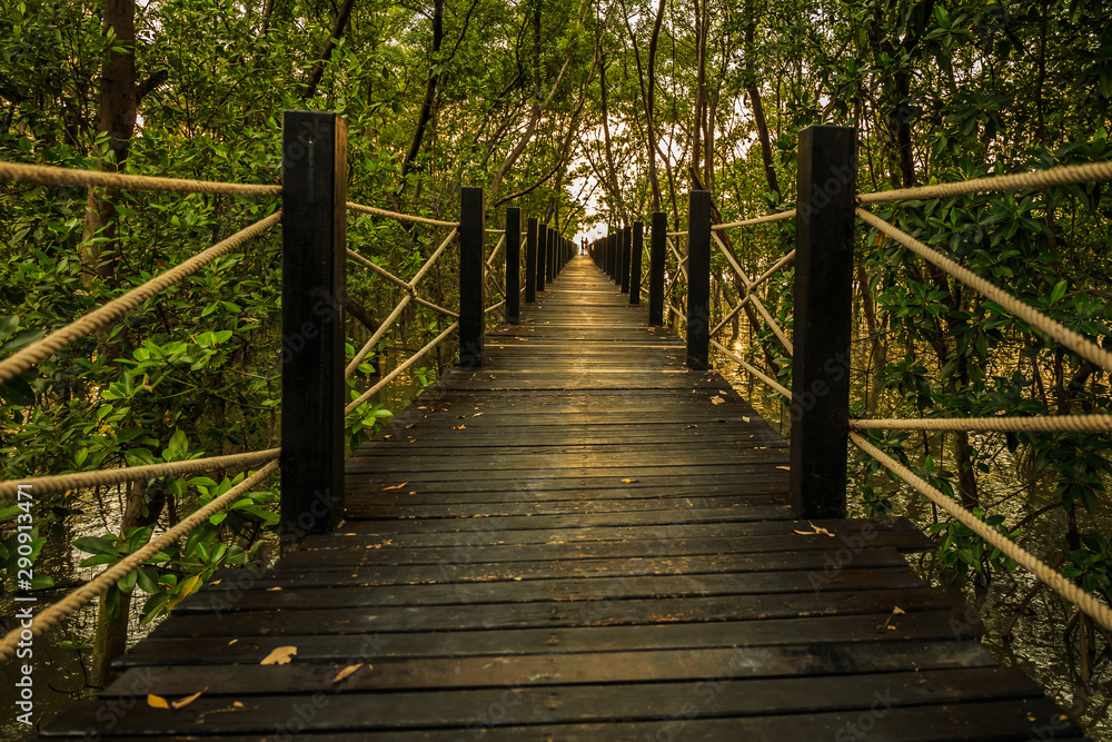 wooden bridge in forest