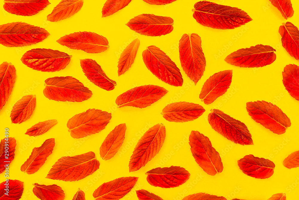 Red leaves on a yellow background. Red leaves on a yellow background.