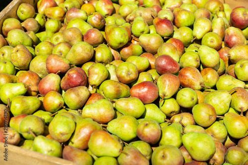 Wooden crates with harvested pears