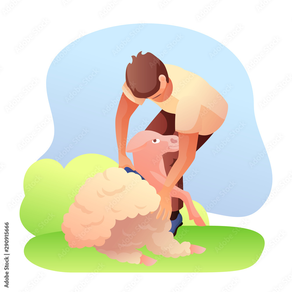 Man shearing sheep flat vector illustration