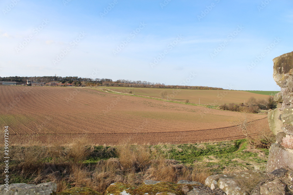 Agricultural view during hot spring in UK