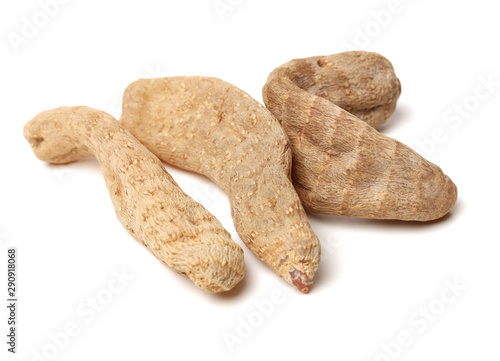 Gastrodia elata on white background photo