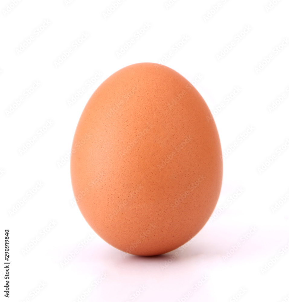 chicken egg isolated on white background. chicken egg isolated on white background.