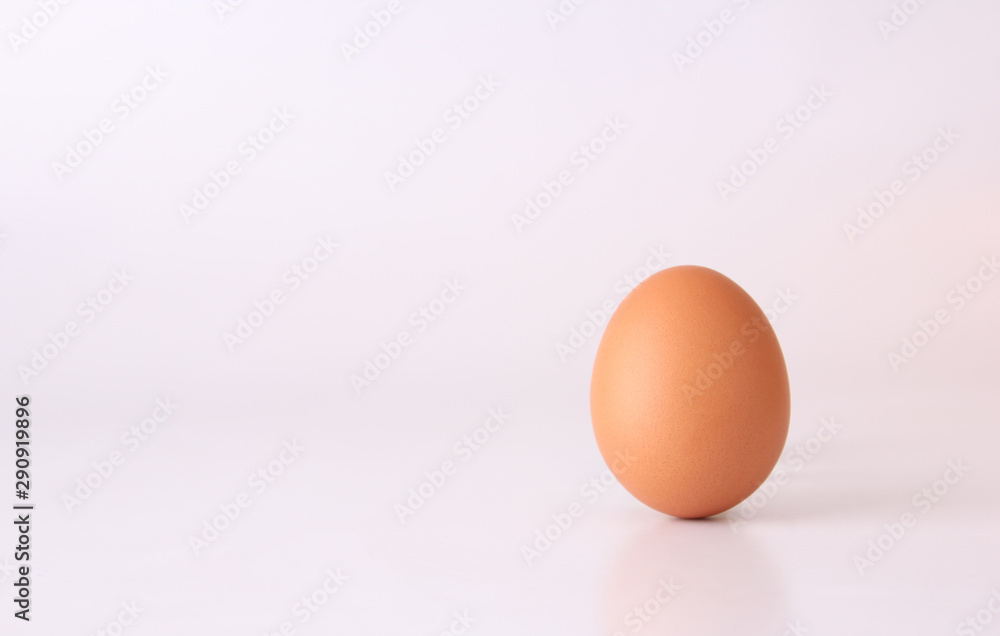 chicken egg isolated on white background. chicken egg isolated on white background.