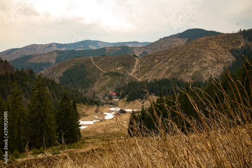 Deforestation in Low Tatras photo