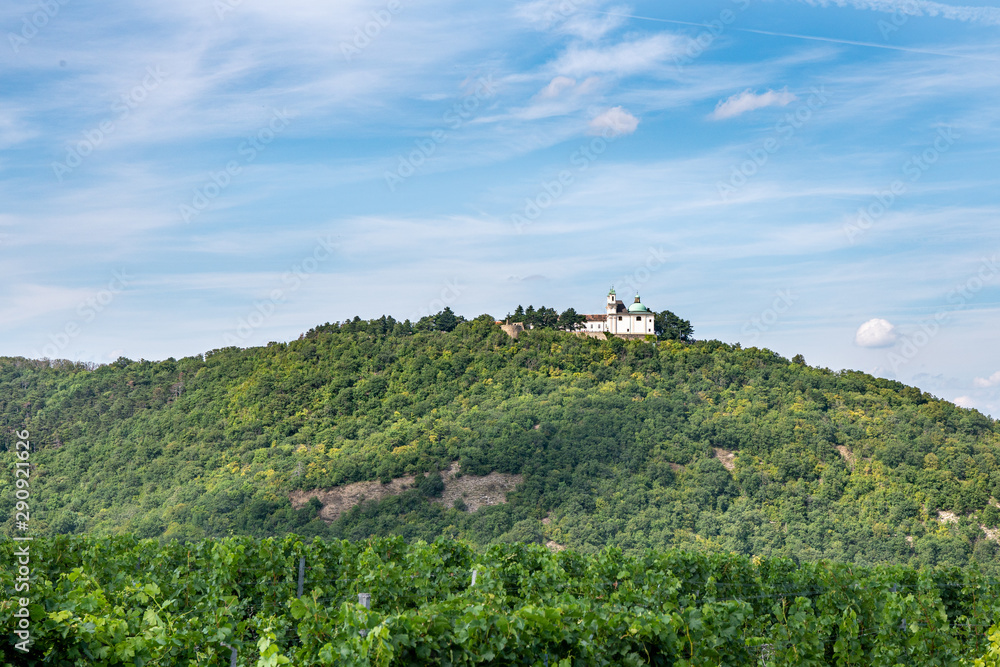 Blick auf den Leopoldsberg aus dem Weingarten nähe Wien