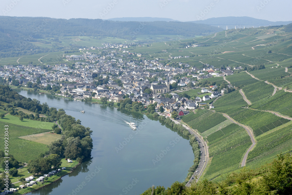 Weinberg, Kroever Nacktarsch, Grosslage, Mosel Weinberg, Kroever Nacktarsch, Grosslage, Mosel