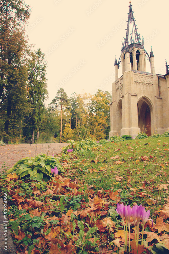 Gothic style church with a black dome in a clearing with pink flowers in autumn
