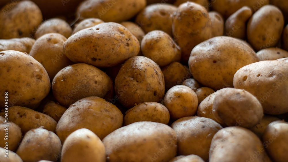 Garden potatoes Background image Garden potatoes Background image