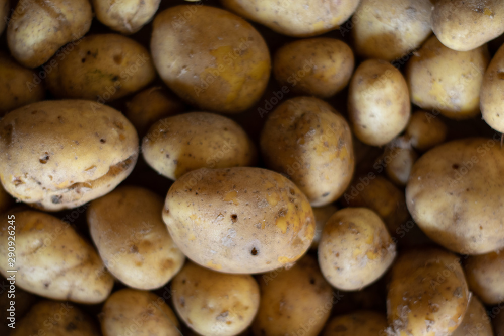 Garden potatoes Background image Garden potatoes Background image