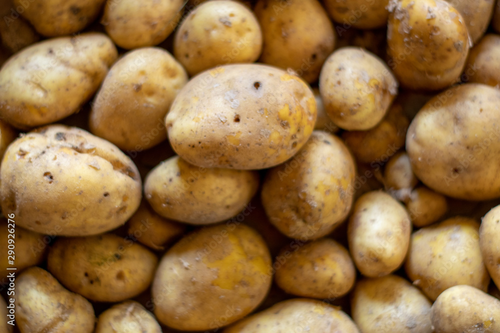 Garden potatoes Background image Garden potatoes Background image