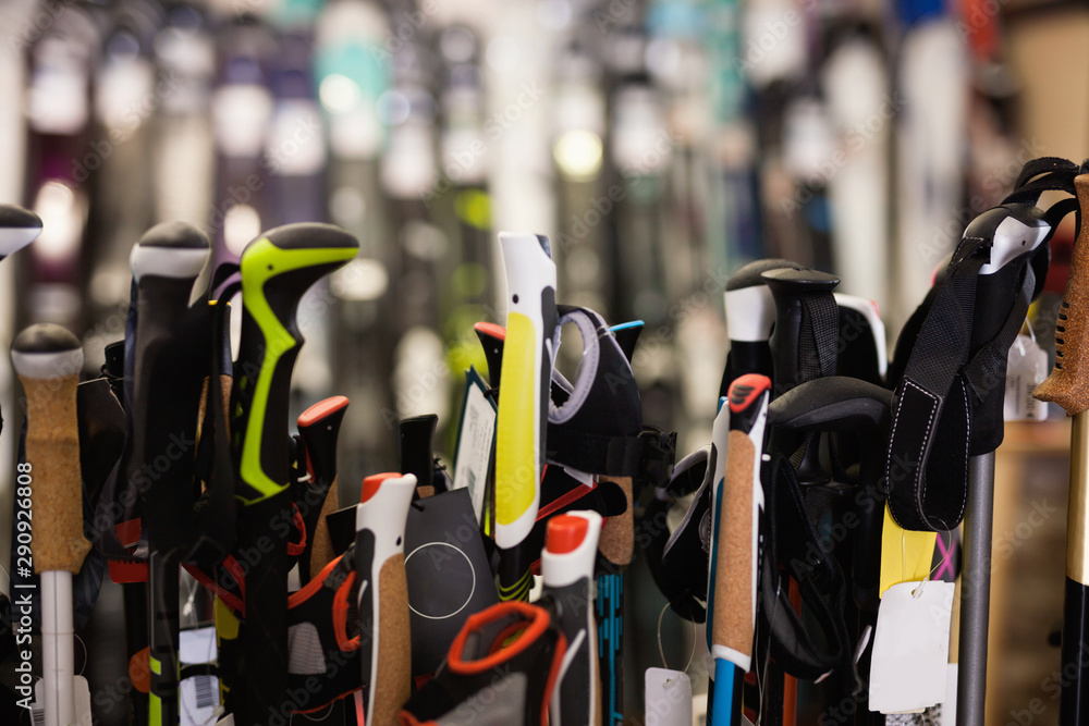 Various ski poles for sale in modern sports equipment store
