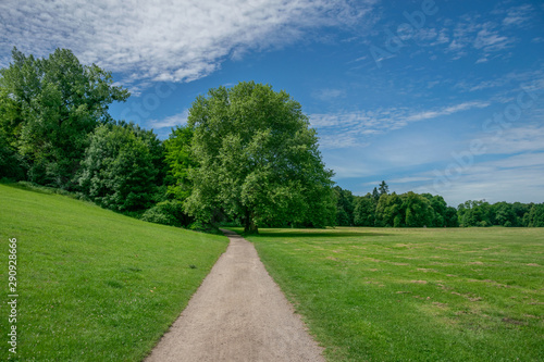 Path leading through green meadow to green trees with blue sky and white fluffy clouds – symbol for leisure time, climate, decisions and purity