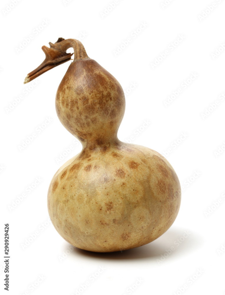 Bottle gourd isolated on white. Container, yellow. Bottle gourd isolated on white. Container, yellow.