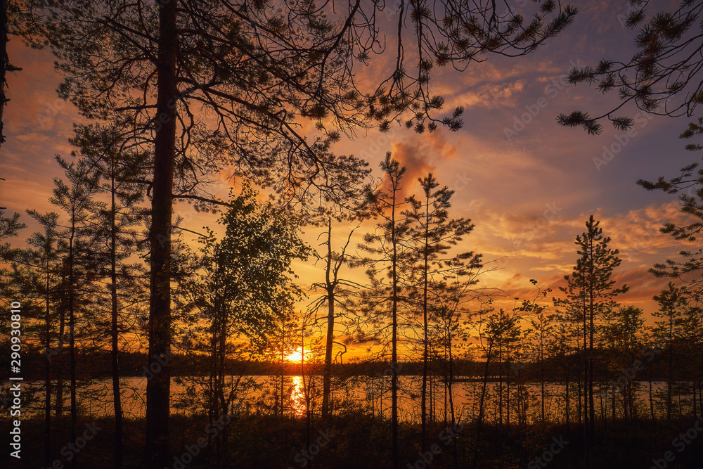 Sunset in the woods of Karelia. Sunset in the woods of Karelia.