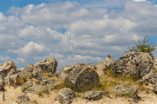 Planted stones, also known as The Stone Desert. Landforms of Varna Province. Rock formations of Bulgaria. Stone forest. © Piotr