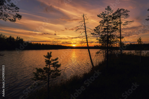 Sunset near the lake in Karelia woods