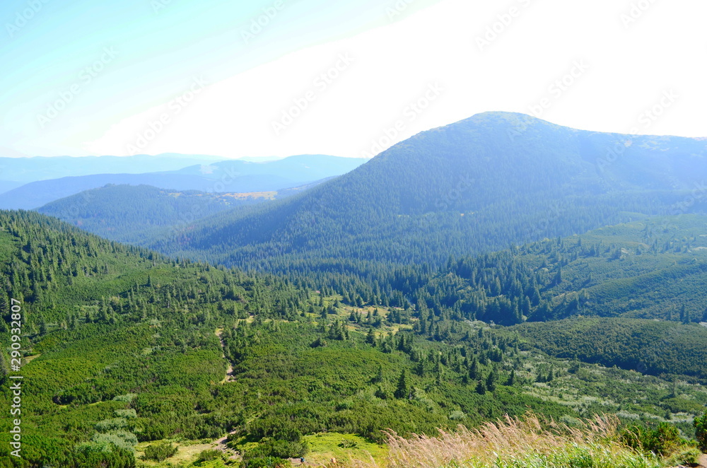 Beautiful view of the mountains on a sunny summer day