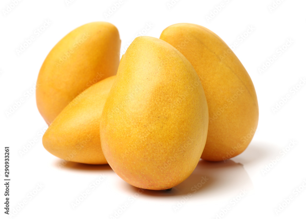 Mango on white background. Juice, produce.