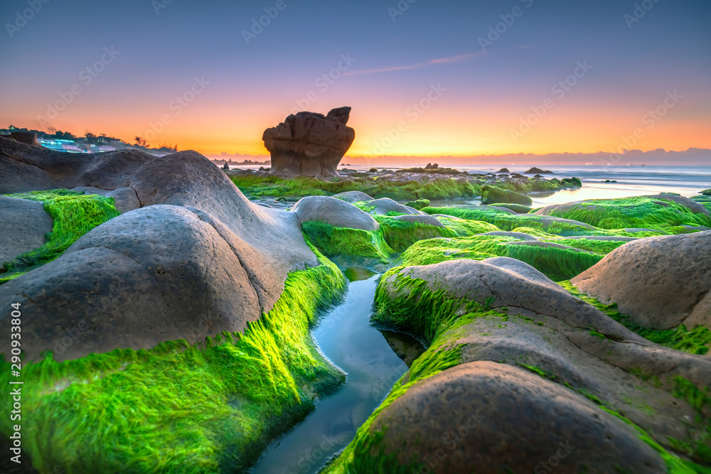 Strange stones covered moss and seaweed welcomes dawn  beautiful new day - obrazy, fototapety, plakaty 
