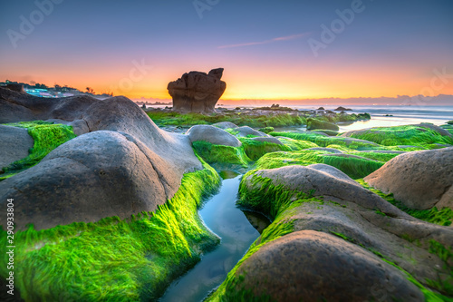 Strange stones covered moss...