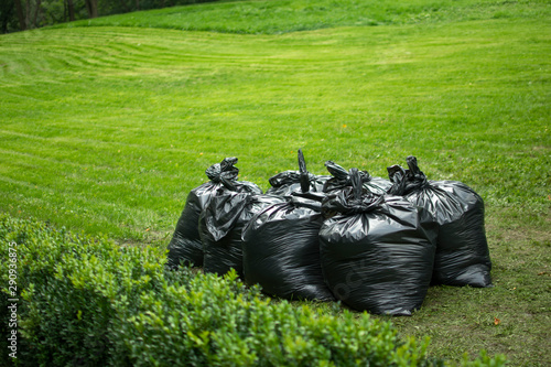 trash bags in the park on green grass
