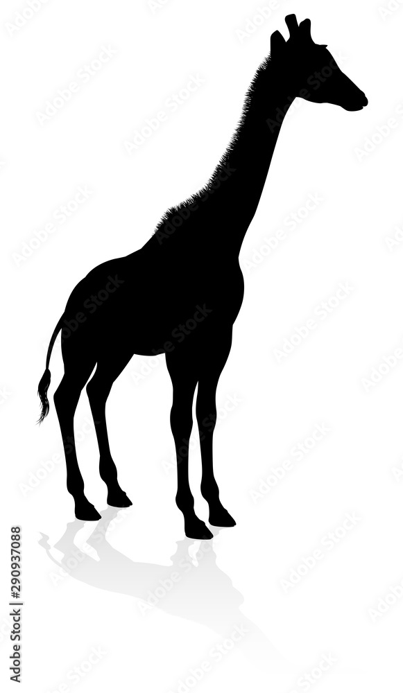 Obraz premium A high quality giraffe animal silhouette