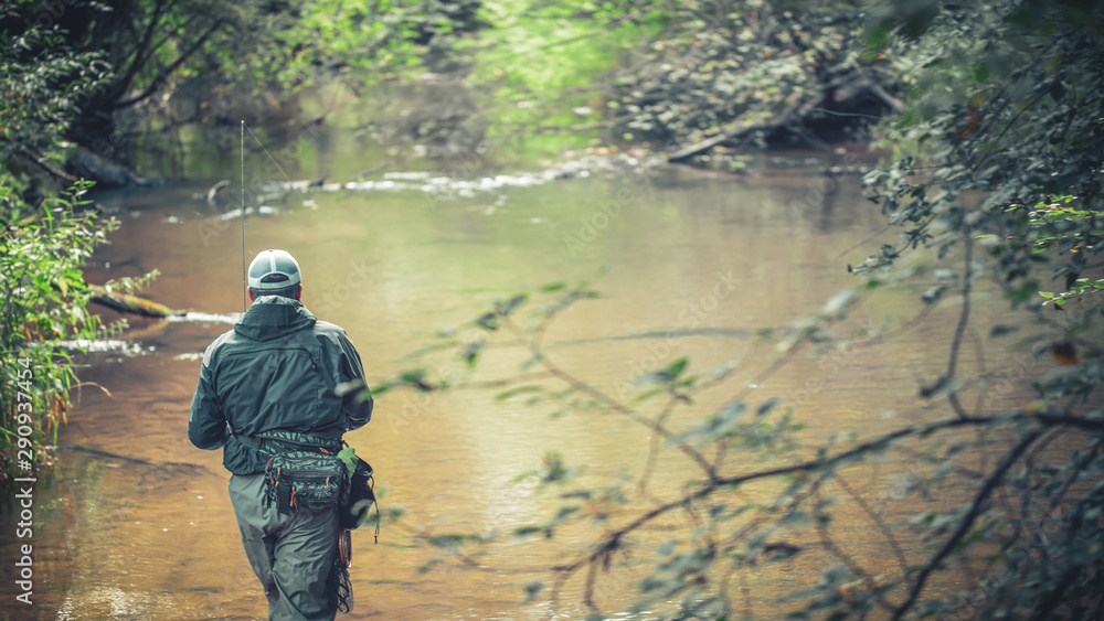 A fisherman catches spinning in the waders. Trout fishing. A fisherman catches spinning in the waders. Trout fishing.