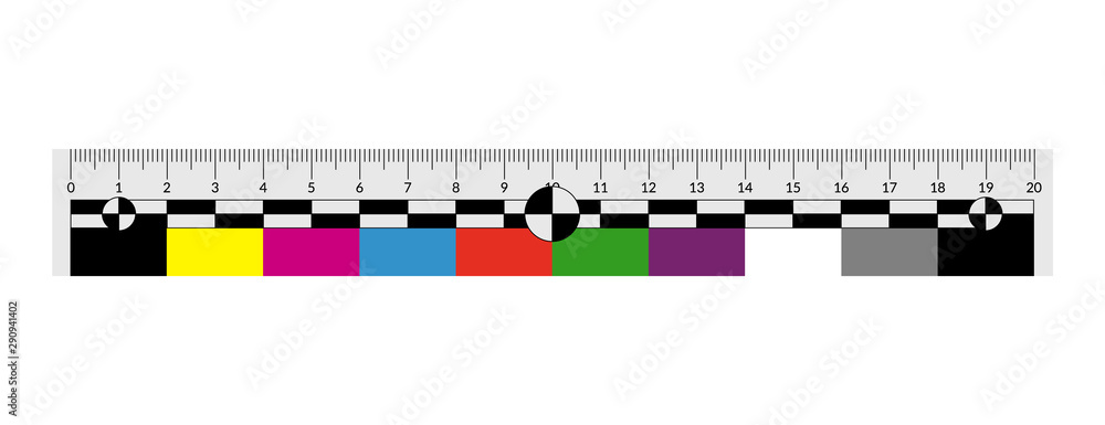 Forensic or police ruler with a color swatches for measuring crime ...