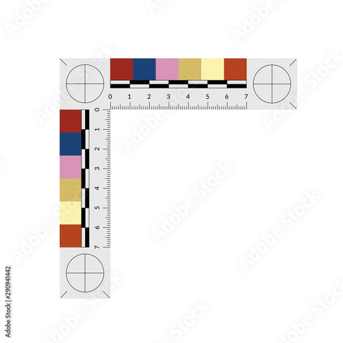 Evidence ruler for measuring bruise size and age.