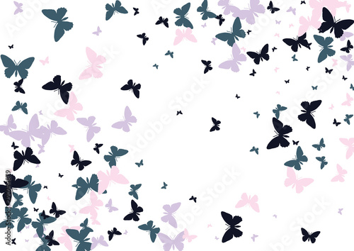Festive butterfly confetti background. Frame vector pattern texture for holiday  postcard  poster  carnival  banner  birthday and children s parties. Butterfly cover mock-up. Wedding butterfly layout