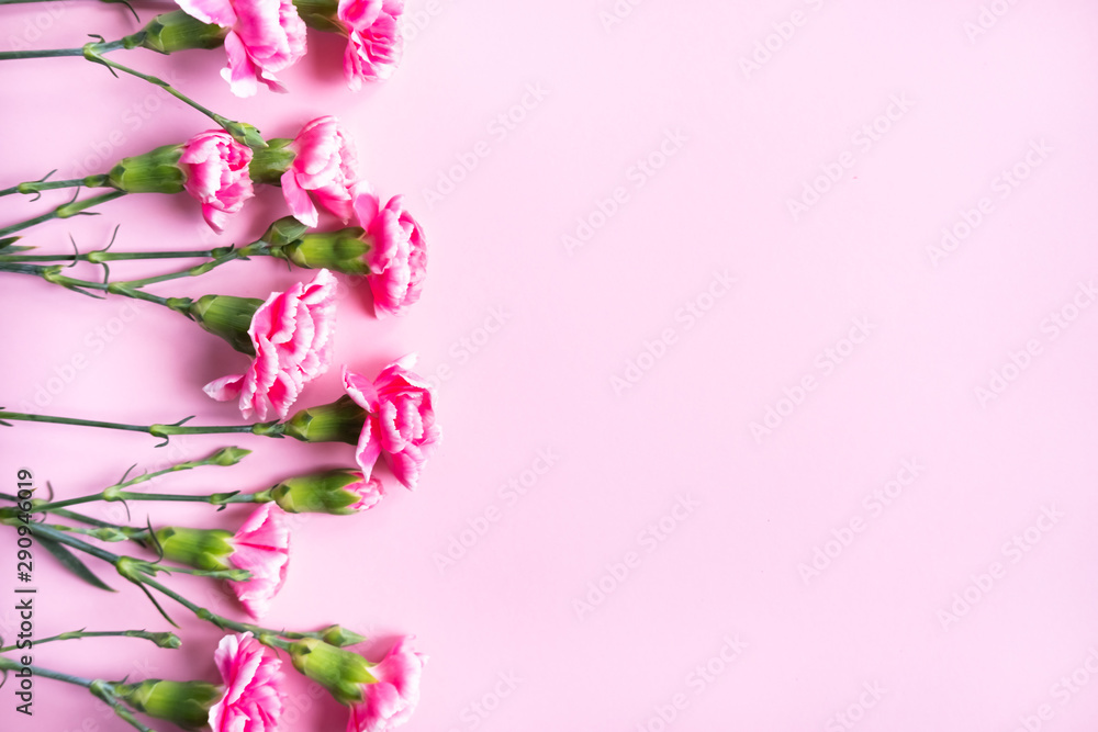 Pink clove flowers.