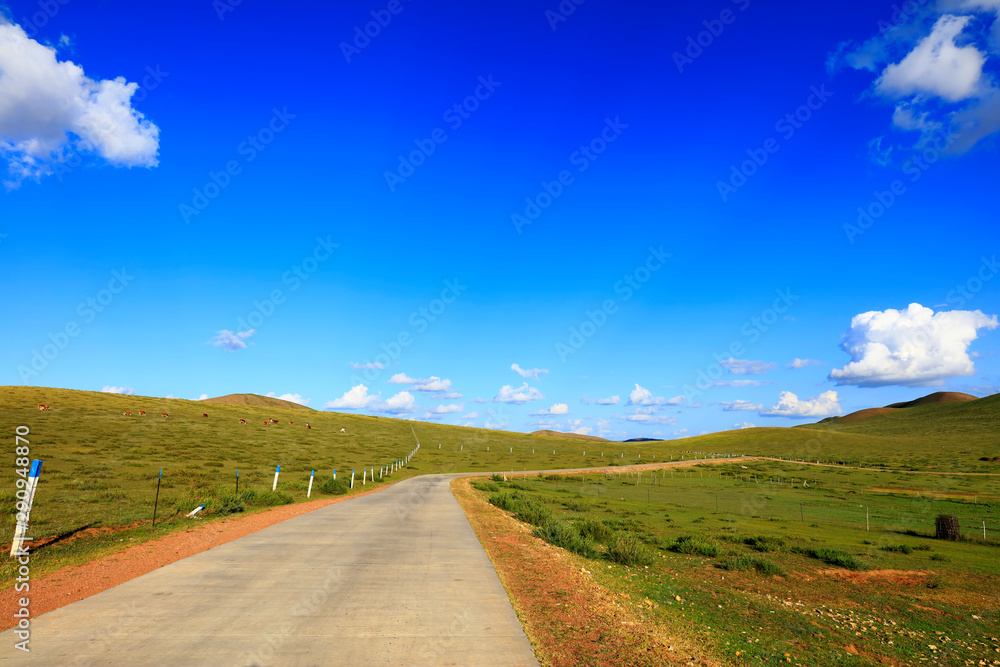 The asphalt road is on the prairie