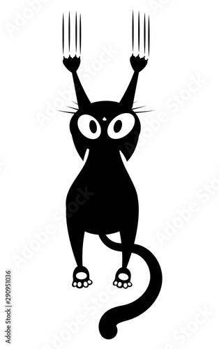 Canvas Print Black cat scratching the wall