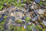 creek in a valley among grass and small stones