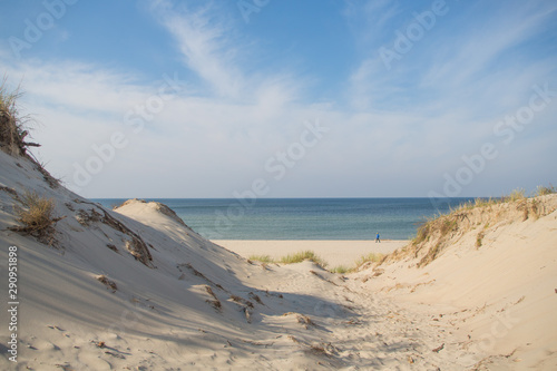 Curonian spit, national park in the Kaliningrad region, the beach of the Baltic Sea