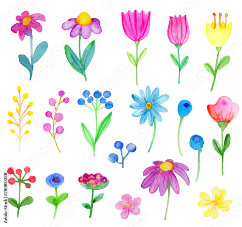 Set of vector watercolor flowers