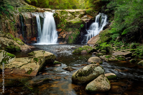 Fototapeta Naklejka Na Ścianę i Meble -  Halls Falls, Pyengana, Tasmania, Australia