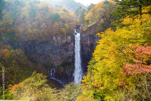 Kegon Falls with colorful autumn tree forest  in Autumn Season