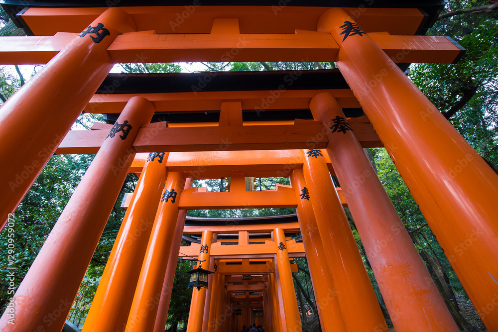 Red tori gate pathway in Fushimi inari shrine of Kyoto Red tori gate pathway in Fushimi inari shrine of Kyoto