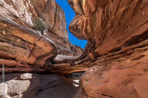 Wide angle view of the interior of a slot canyon carved into the red sandstone, under a spotless blue sky