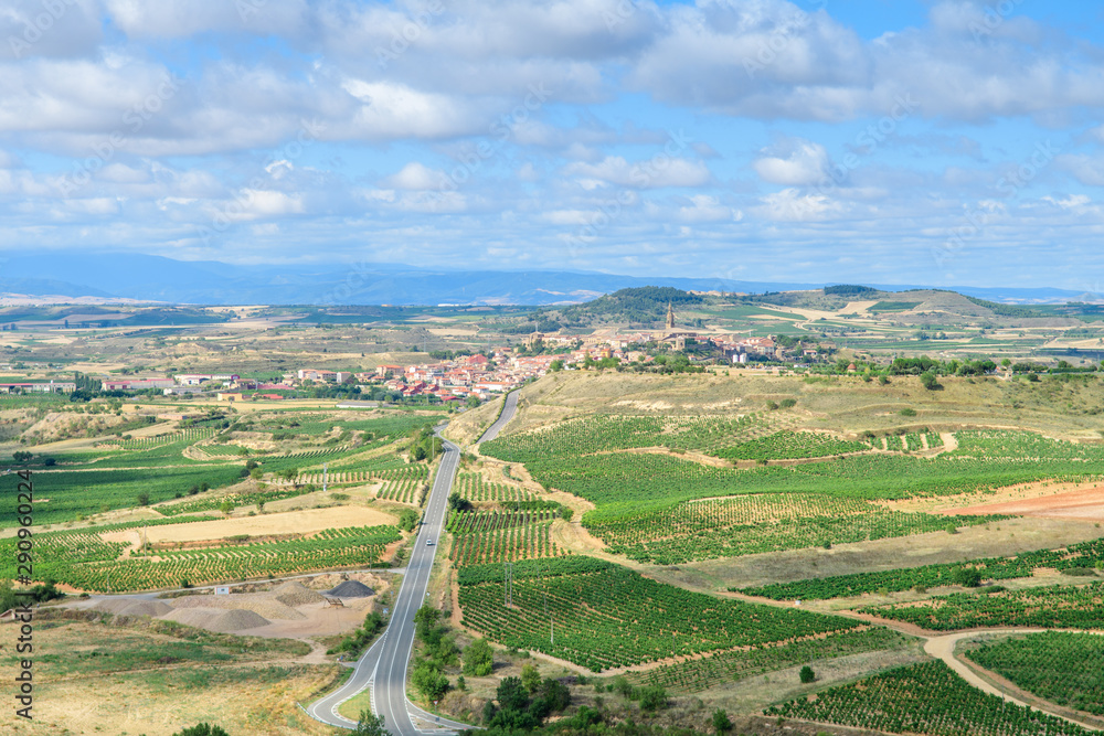 countryside fields of la rioja, Spain