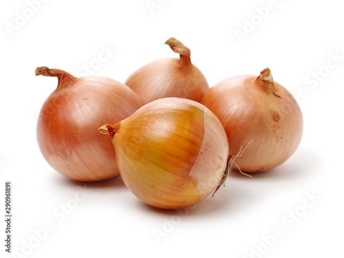 Gold onion vegetable bulbs on white background