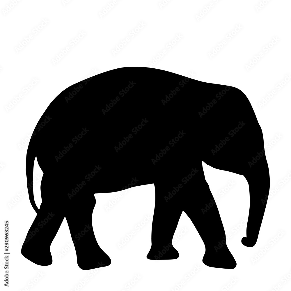 Silhouette of an African baby elephant on a white background