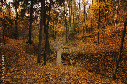 View of the lowland with a bridge in the autumn bright park